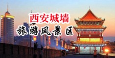 猛操外国女人美女逼中国陕西-西安城墙旅游风景区